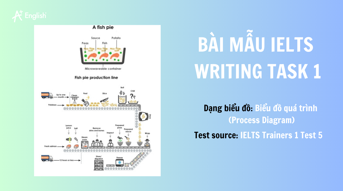 IELTS WRITING TASK 1